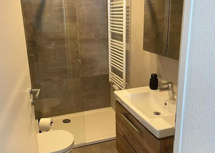 Apartment Idyllische In Zentrumsnaehe Mit Parkplatz 2 Gmunden